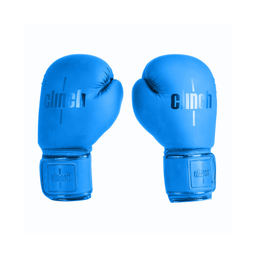 Перчатки боксерские Mist синие, 12 унций